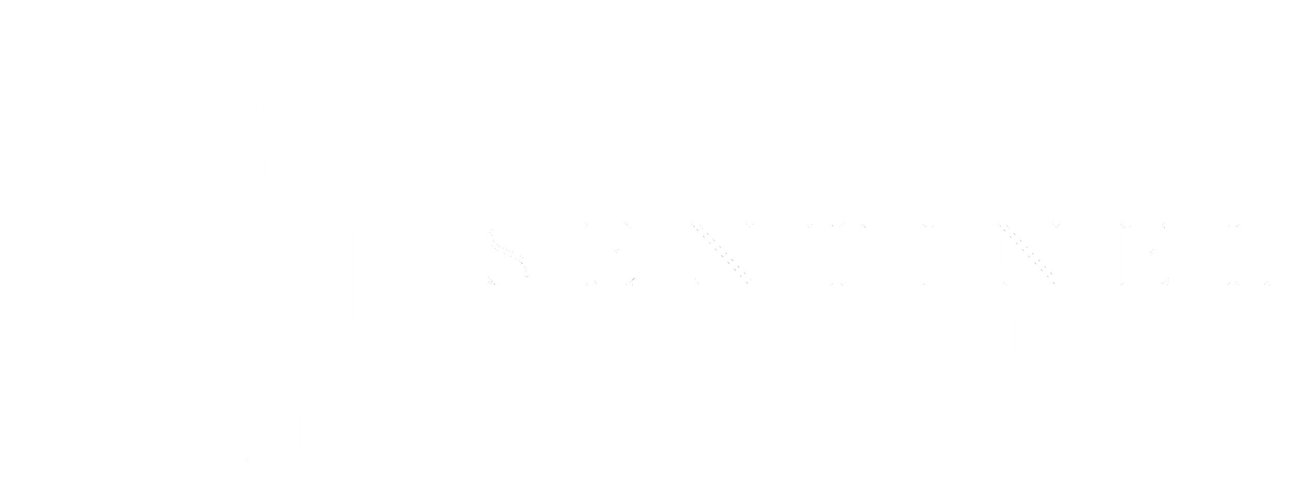 Sentinel Safety Logo