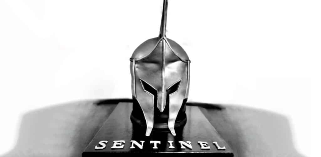 About Sentinel Safety